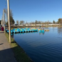 Haggerston Castle lake view pedal boat hire