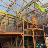 Haggerston Castle soft play